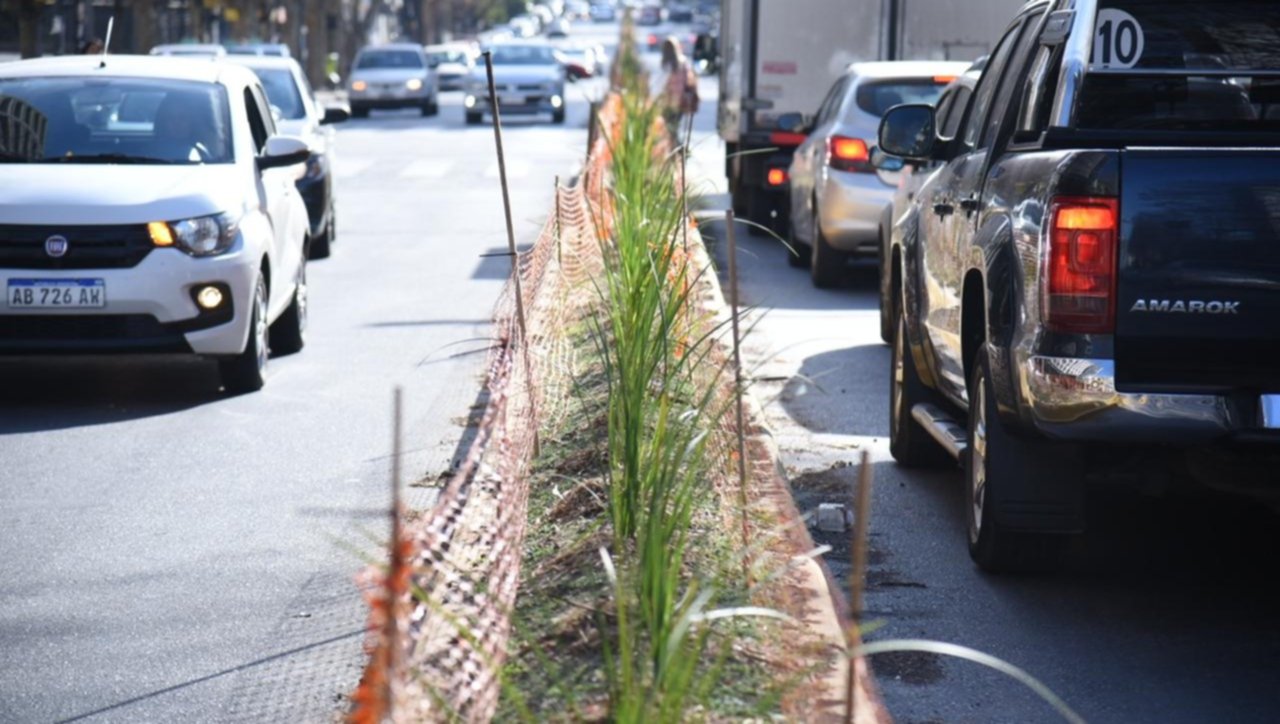 Nueva forestación para un tramo de la Avenida 13