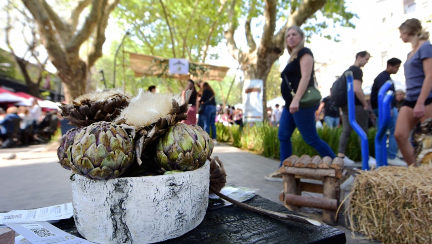 Finde cargado en la Ciudad: Fiesta del Alcaucil, Cafeteamo', La Plata  Celebra y más